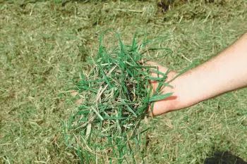 Perfekte Häckselergebnisse mit den Mulchgeräten der SERIE BK